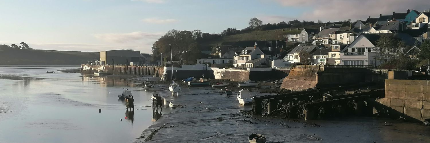 Appledore Devon banner