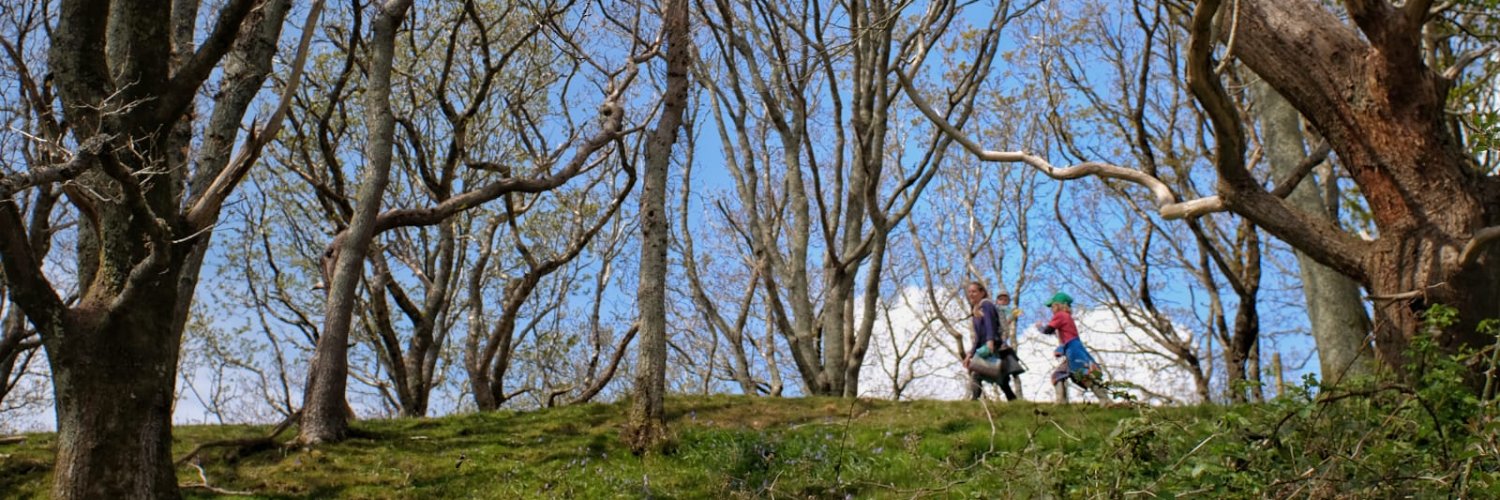 Hannah Hughes @hannahhughes.bsky.social banner