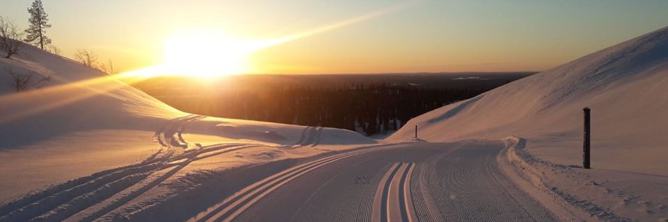 yyth_latu's profile banner image