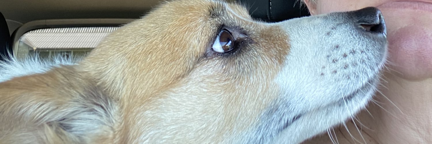 OG antifa 💙💙 banner