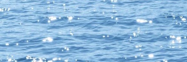 sandyncole Profile Banner