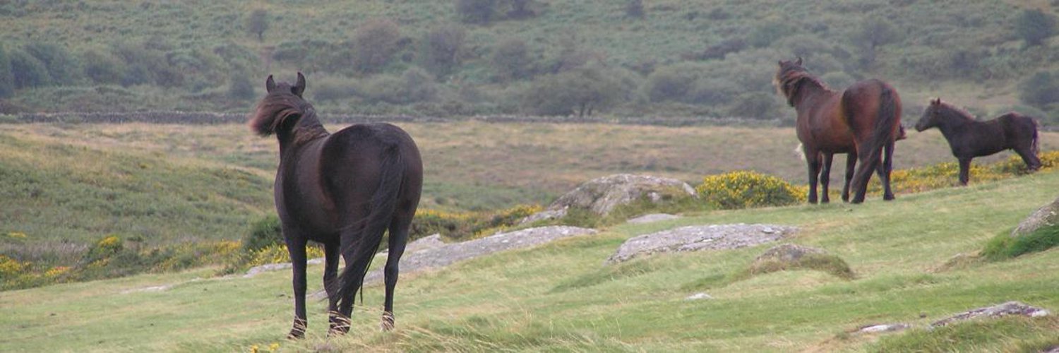 Neil Hudson Profile Banner