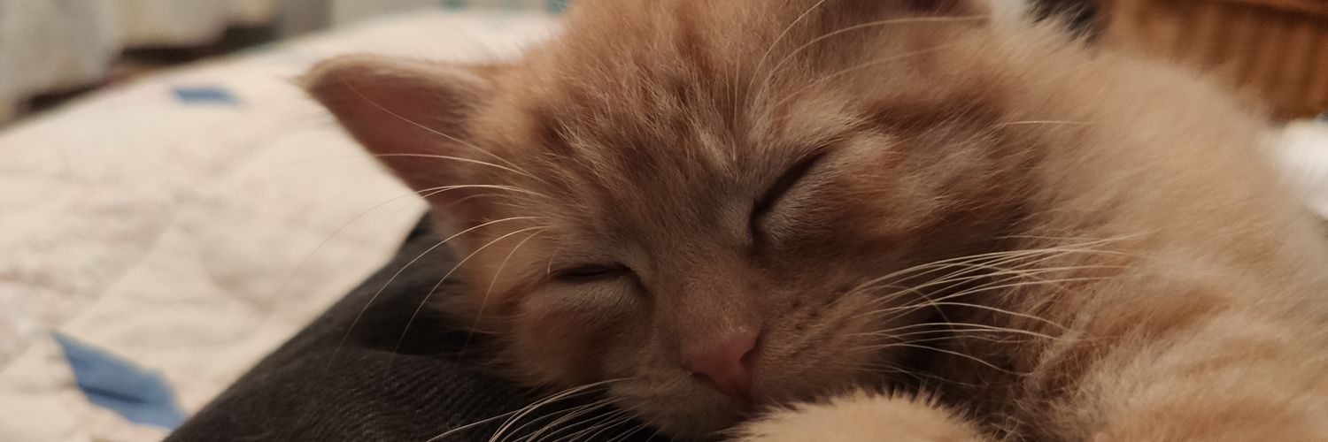 MikeForfeits's profile banner image