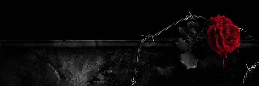 Sigfriedjp's profile banner image