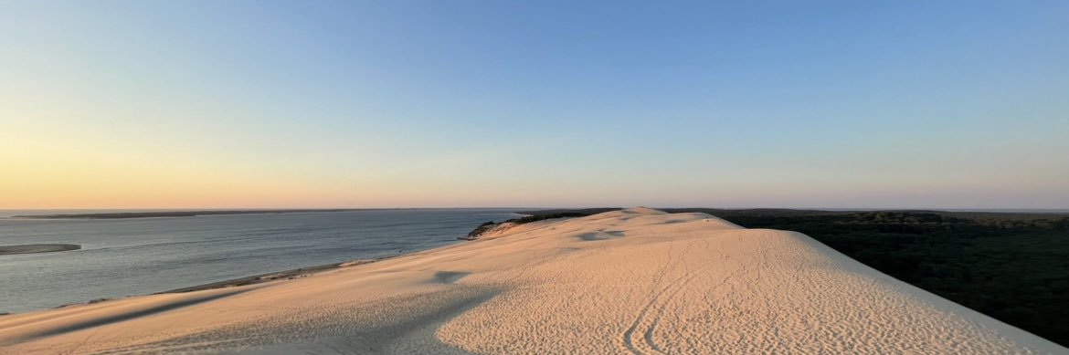 Elena Cuenca Fito banner