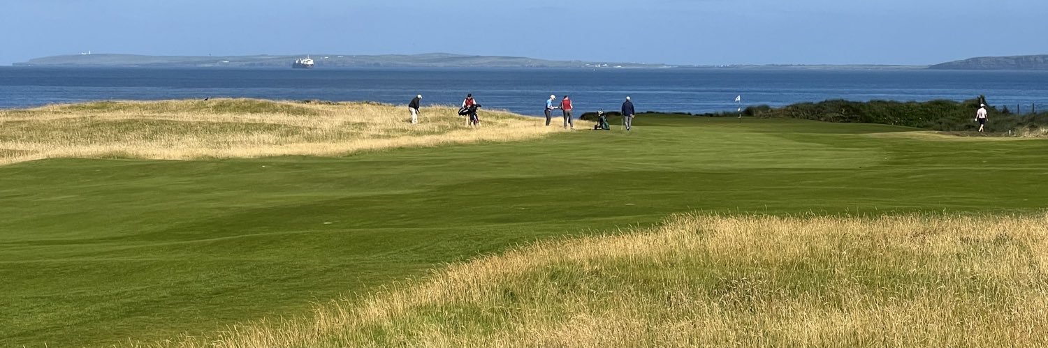 findingfescue banner