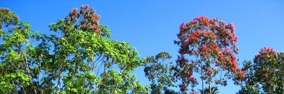 Stuart Paterson banner