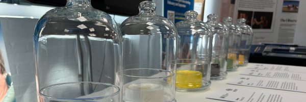 fe_dandrea Profile Banner