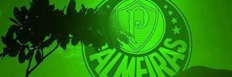 evandroxavier10's profile banner image