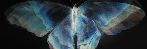 forg9etowo Profile Banner