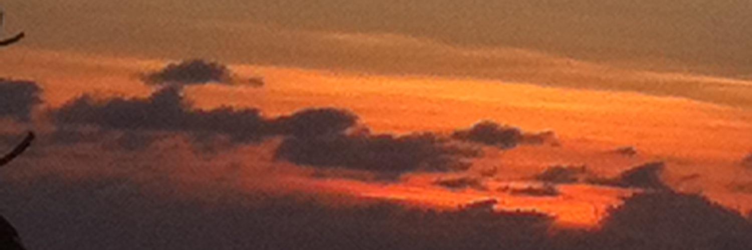 beverleyc58's profile banner image