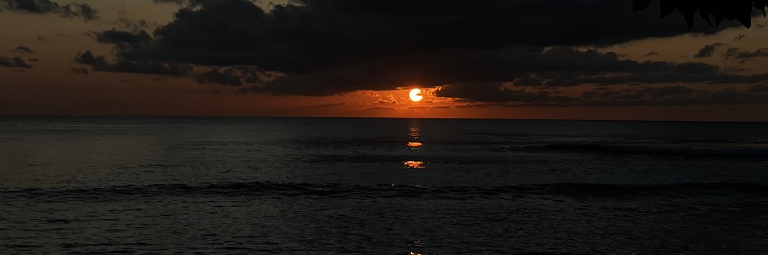 Lin ✨🇹🇹 banner