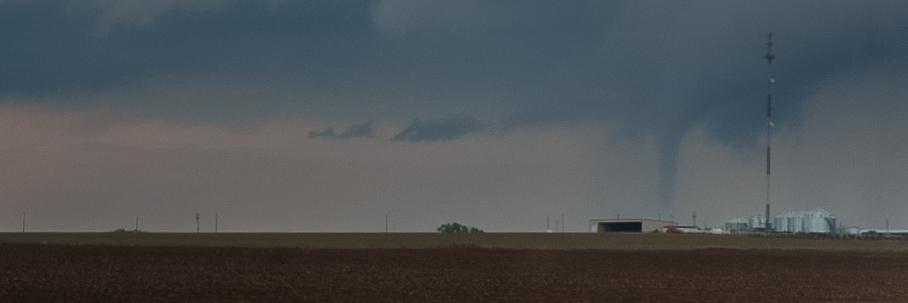Amanda Holly banner