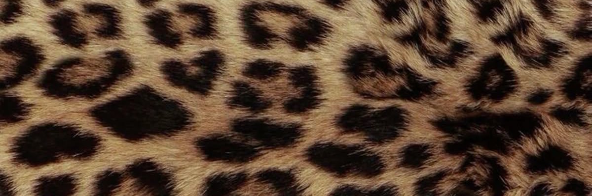 wonniekinz's profile banner image