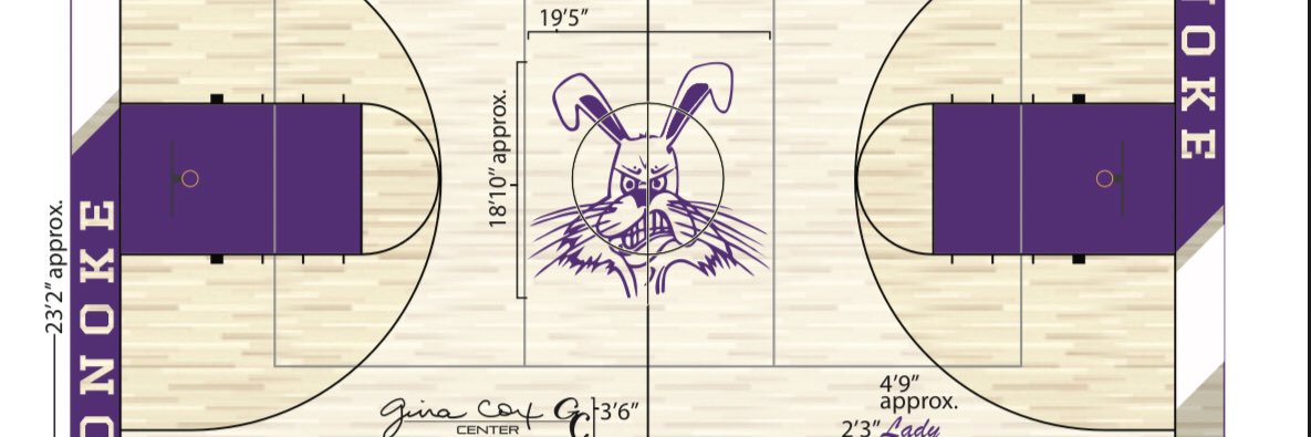 LadyRabbitBasketball banner