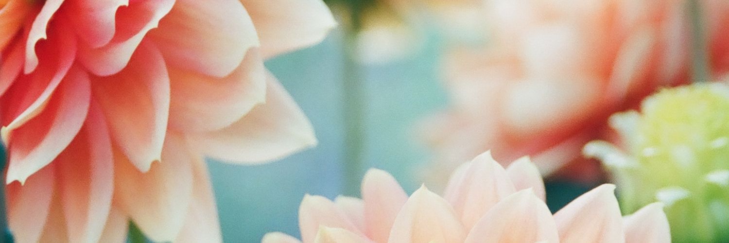 Chris 🌱 (@brainblasted@crab.garden) banner