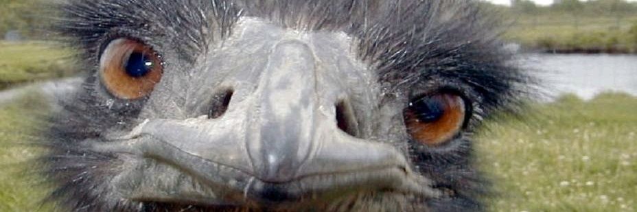 LokoDro's profile banner image