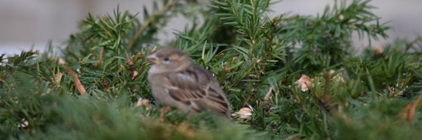 B56Beth Profile Banner