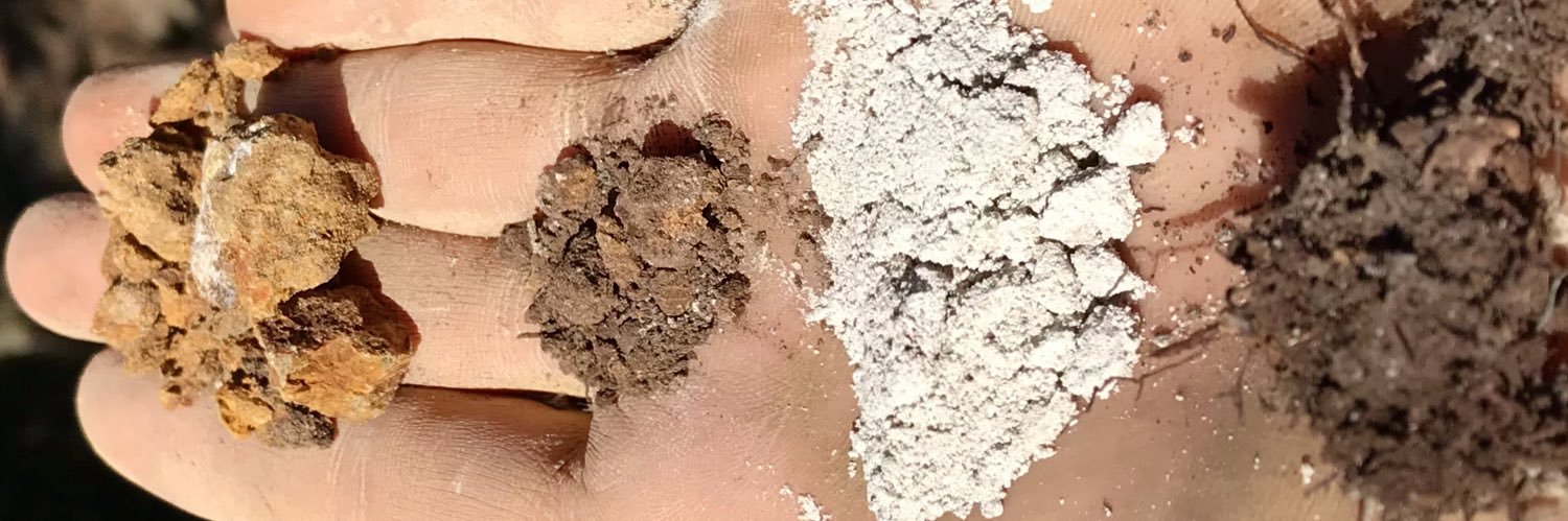 Kalyn Taylor, PhD banner