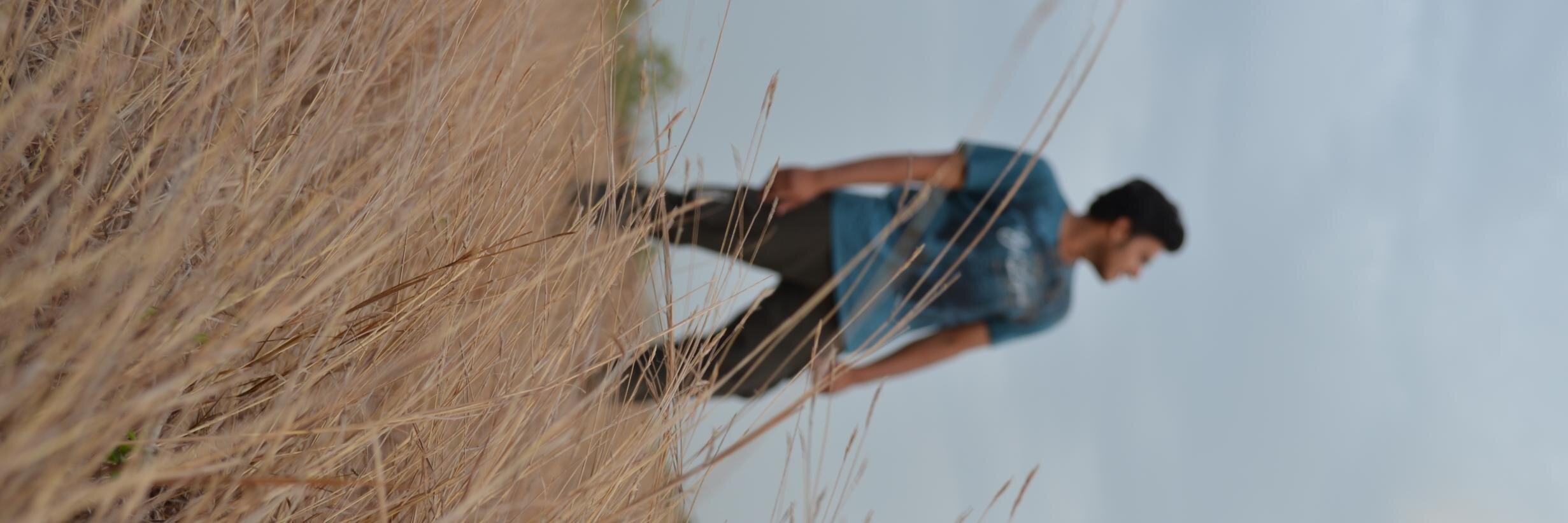 ysvlu's profile banner image