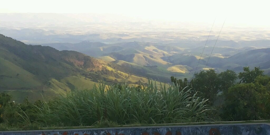 Andreia Ferrari banner