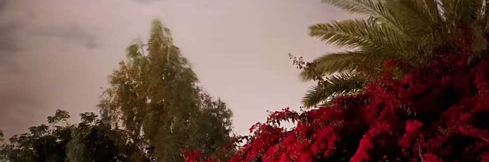 🦋‏نبــ ͜ ͡ــضــ ͜ ͡ــ الغــ ͜ ͡ــلا🦋🇸🇦🇸🇦 banner