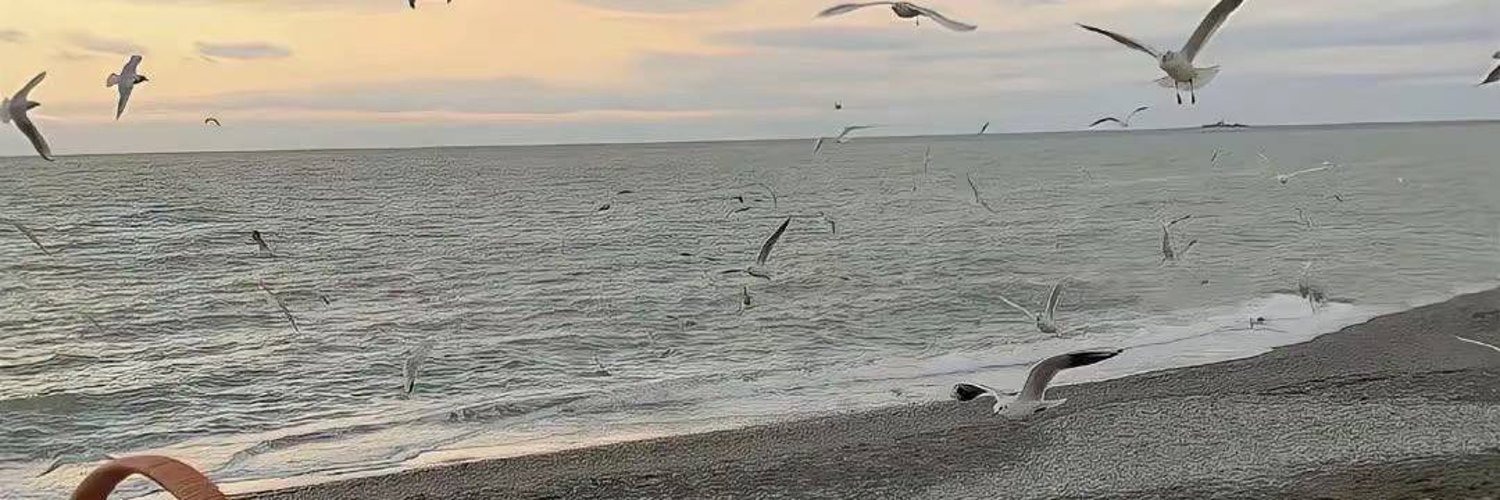 reshaun03's profile banner image