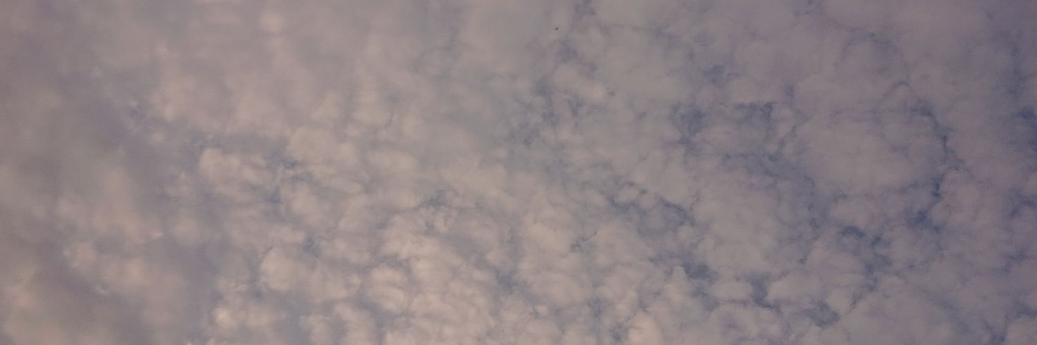 🛵🛴(･∀･)ﾉｼ banner