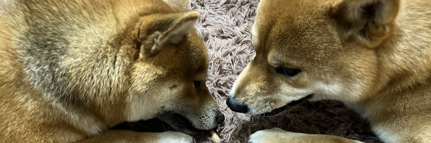 まるちゃん👶👱‍♀️🐕🐕 banner