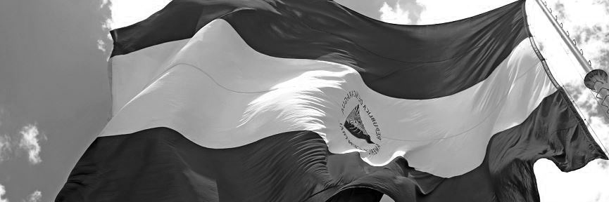 danielvelz's profile banner image