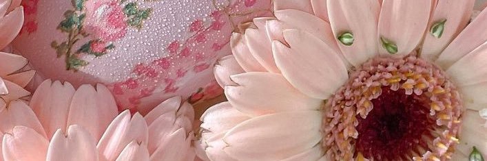 julissav07's profile banner image