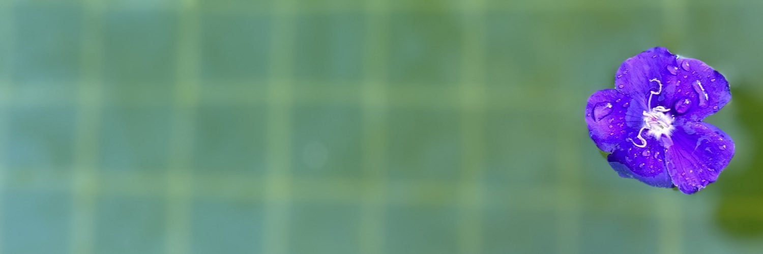 tizoc70's profile banner image