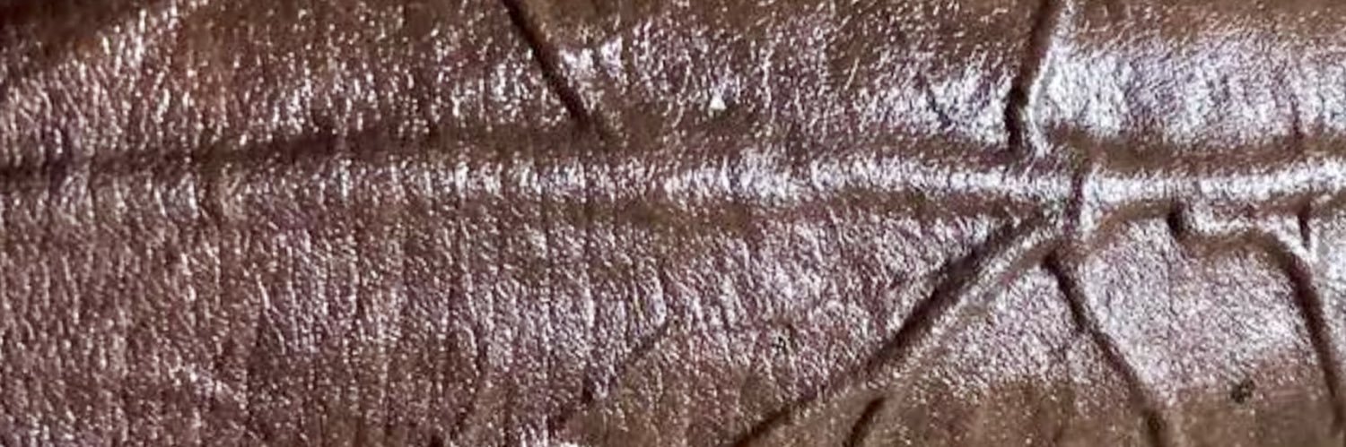 Hunky Bull ™️ banner