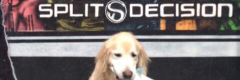JT_splitD's profile banner image