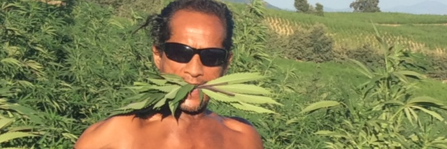 @Papahemp Abraham Christie banner