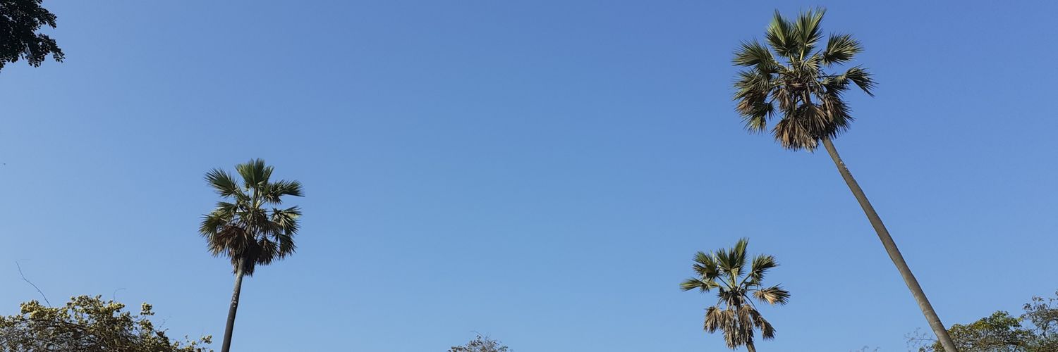AVtweeting's profile banner image