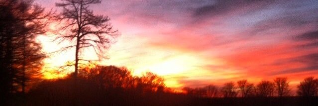 Jonathan Rundell banner