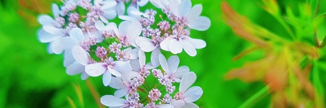 142625's profile banner image