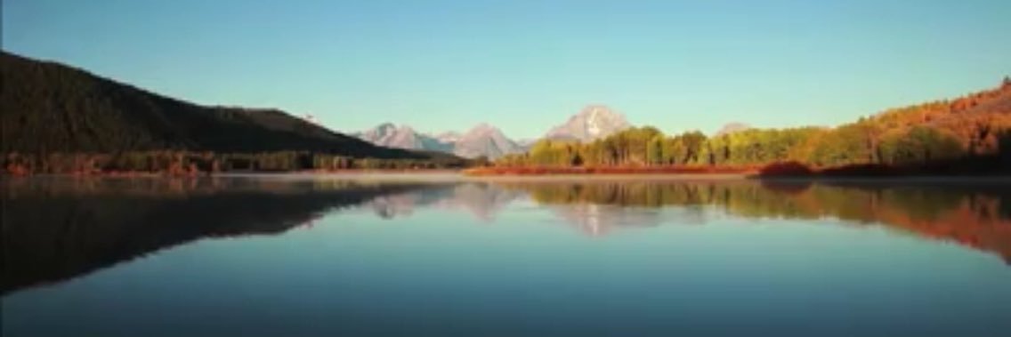 Stewart Griffiths banner