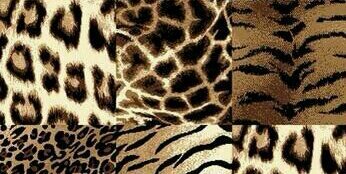 anabethsy's profile banner image