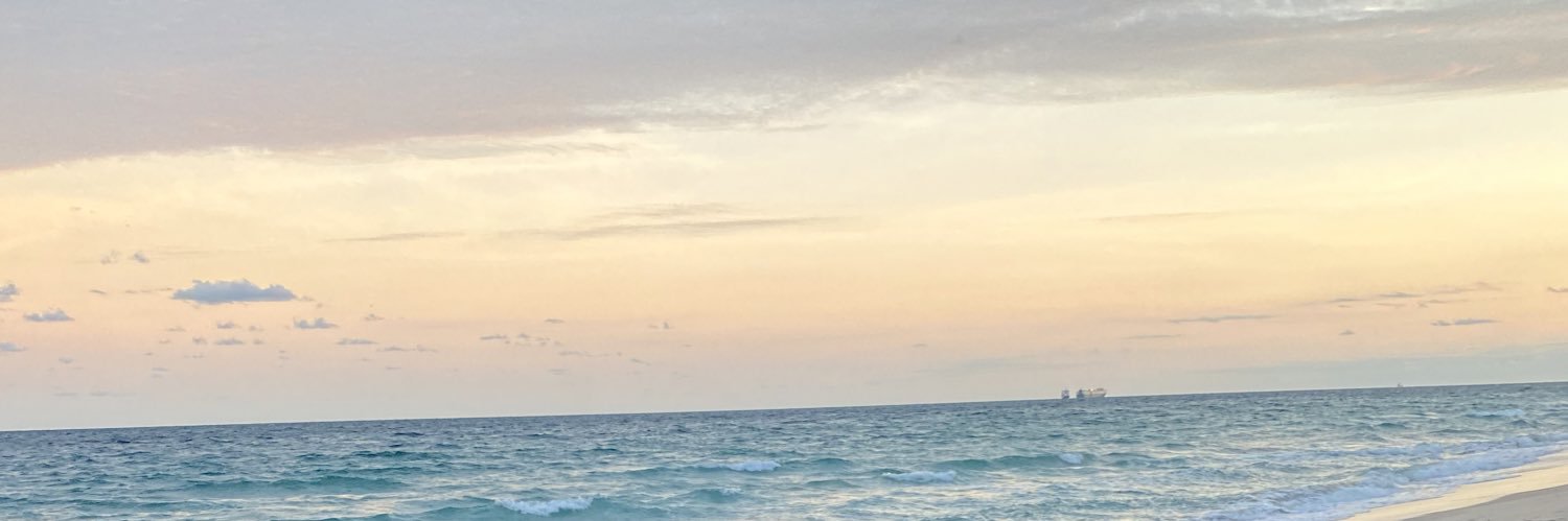 hannahlimess's profile banner image