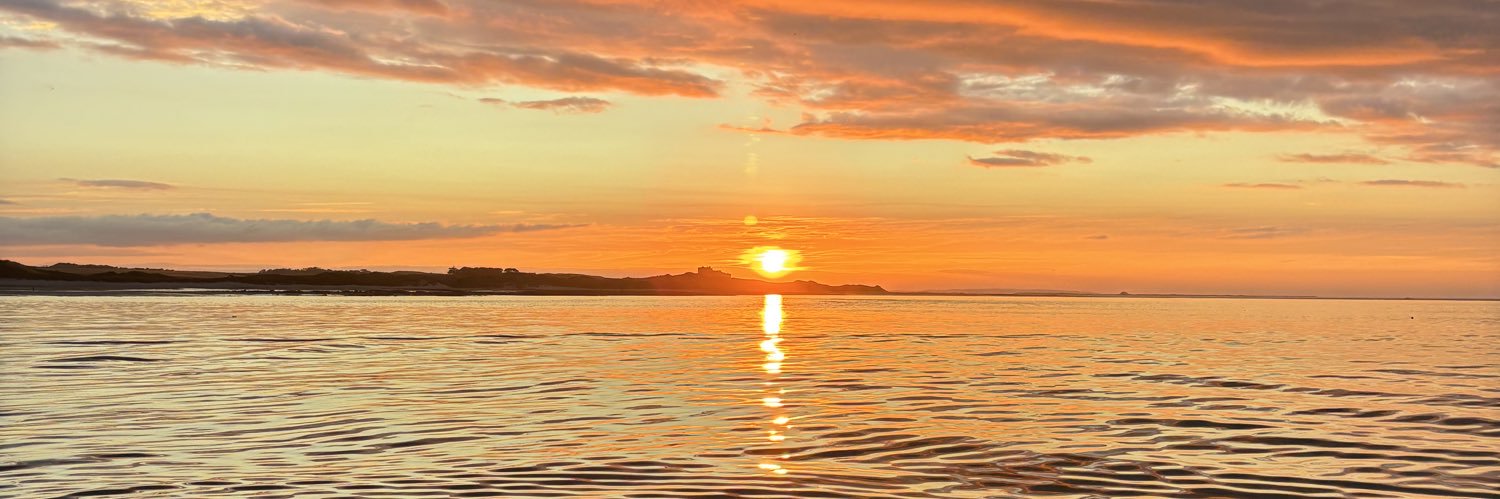 Jess Bradford banner