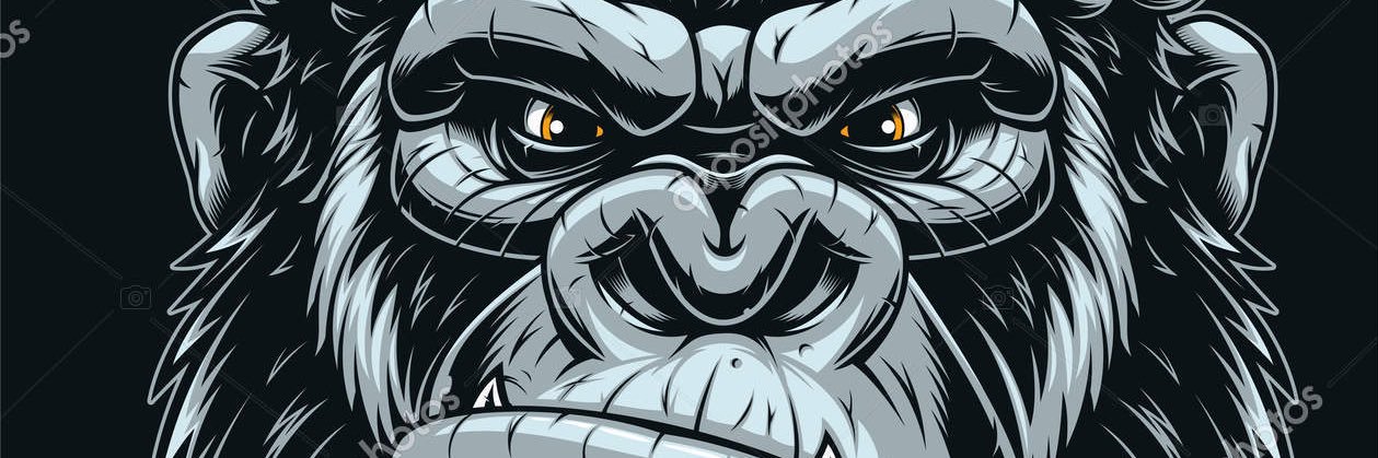 eddieflava's profile banner image