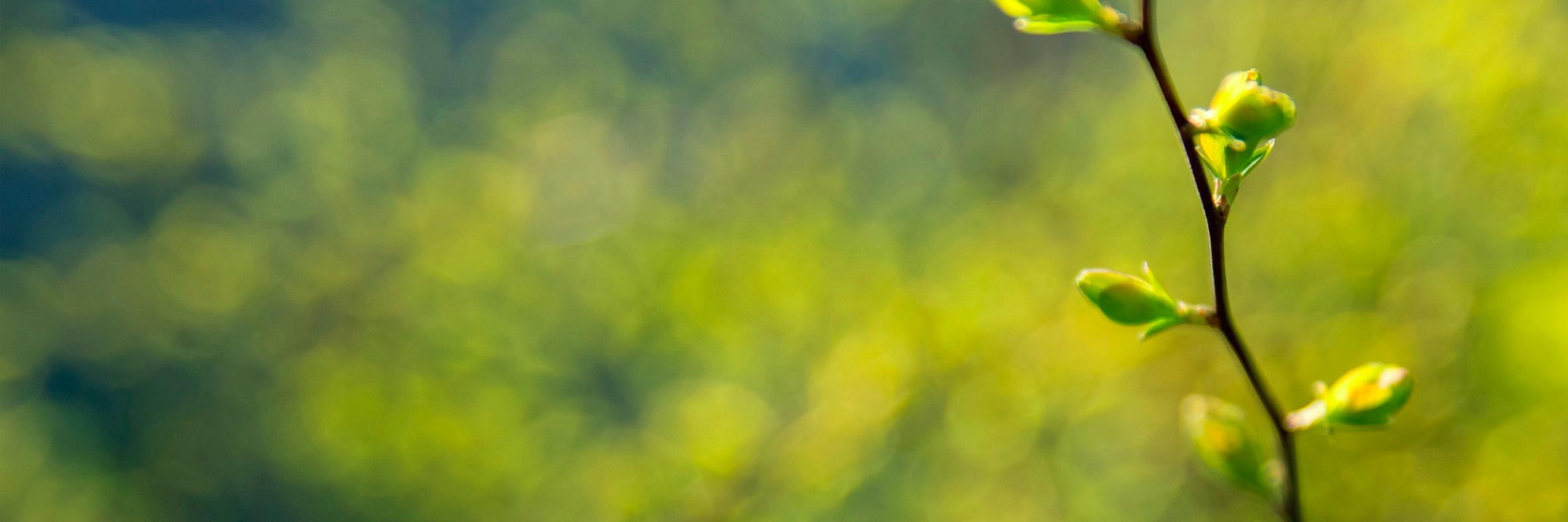 VetChangesWorld's profile banner image