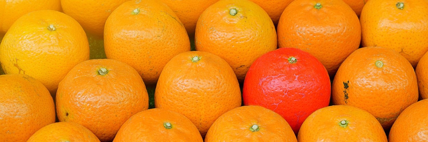EdwardsMSE's profile banner image