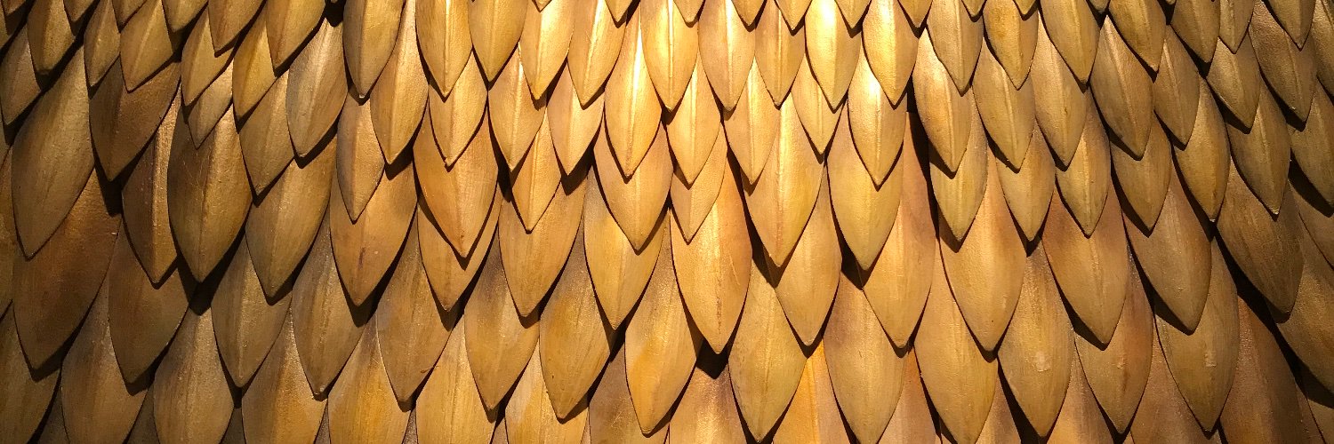 アライ手洗いうがい banner