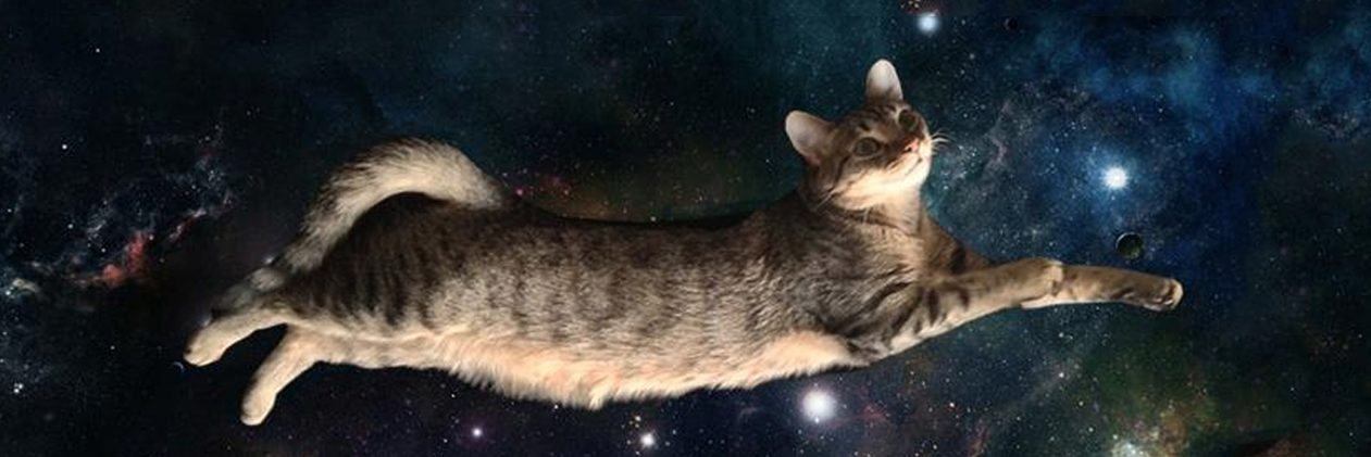bramosdesign's profile banner image