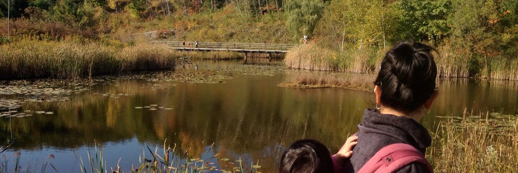 Dr. Catherine Febria banner