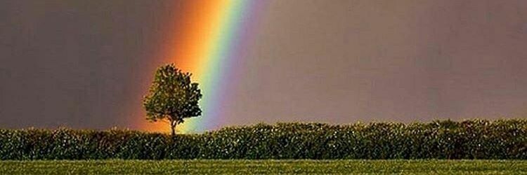 javiero45's profile banner image