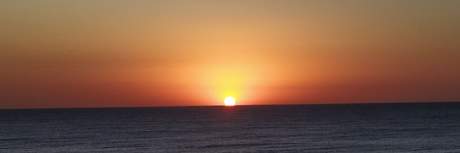 trizleal's profile banner image